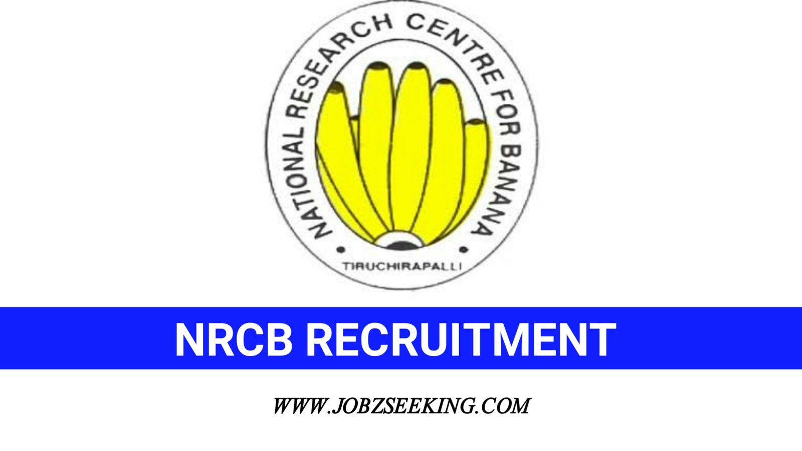 nrcb trichy recruitment 2020 1 young professional posts